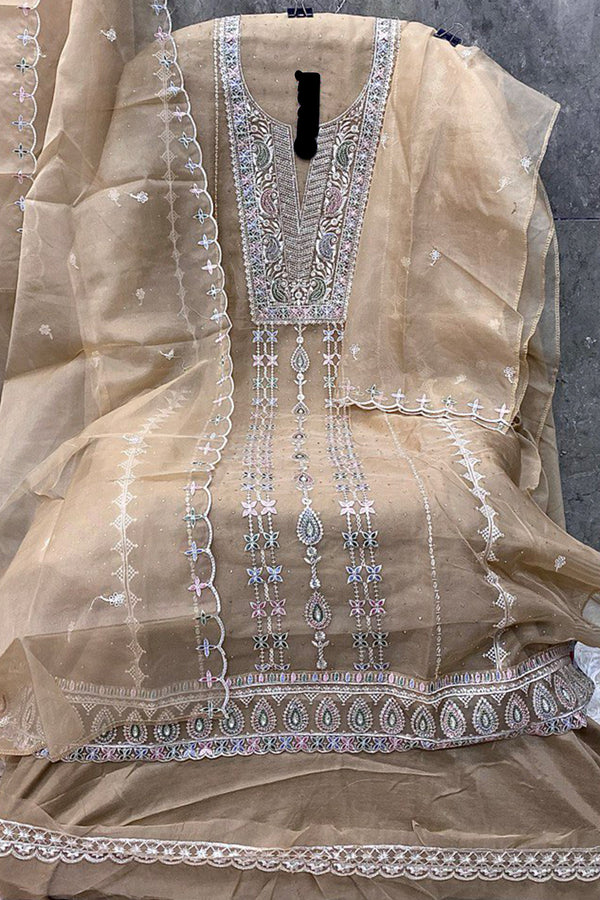 Luxury Chiku Pakistani Organza Salwar Suit for Women With Intricate Dupatta Embroidery