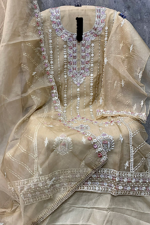 Premium Chiku Pakistani Organza Khatli Work Salwar Kameez With Organza Dupatta Embroidery