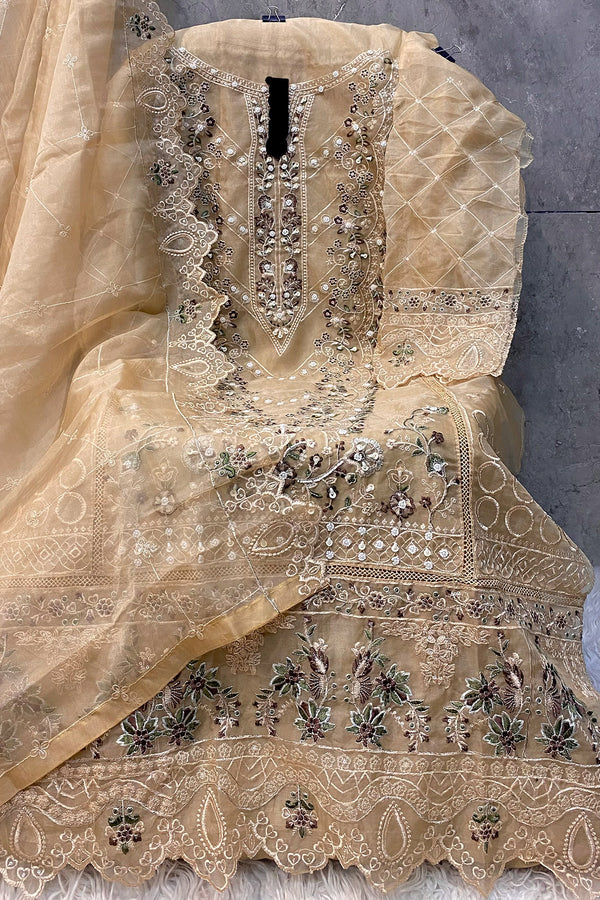 Chiku Pakistani Salwar Kameez Organza With Heavy Organza Beautiful Work Dupatta